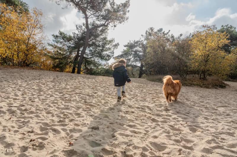 Huisdier fotoshoot